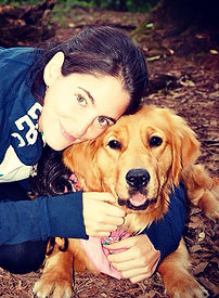 Cachorros golden retriever, golden retriever cachorro, criador golden retriever, cachorro golden retriever venta, garnev Goldens retrievers, golden retriever 