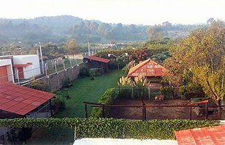 escuela canina