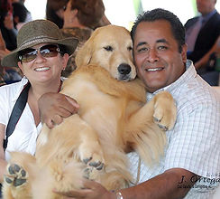 Venta de cachorros Golden Retriever