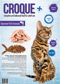 עיצוב שק מזון לחתולים