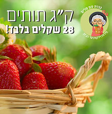 דוגמה לעבודת עיצוב גרפי ומיתוג