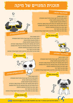 תוכנית מנויים