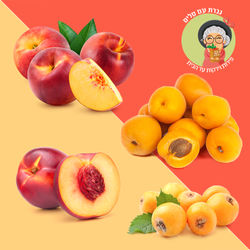 פוסט לפייסבוק