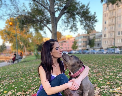 Pit Bull Love