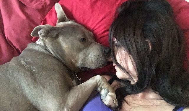 A Pit Bull and her mom