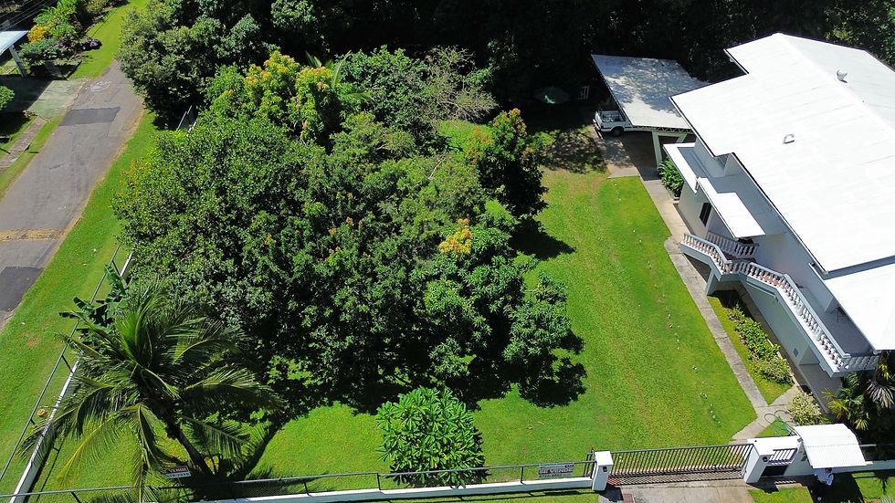 temp_image_for_default_share (7).jpg