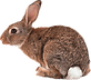 IMG_3059_edited.png