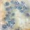 Thumbnail: Kathleen 1 (25 x 30")