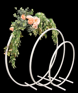 Ring Frames.PNG