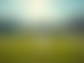 Why Multi-Day Matches Matter for Young Cricketers