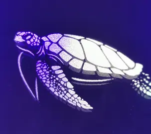 gravure laser-miroir-tortue de mer-gravure laser drome