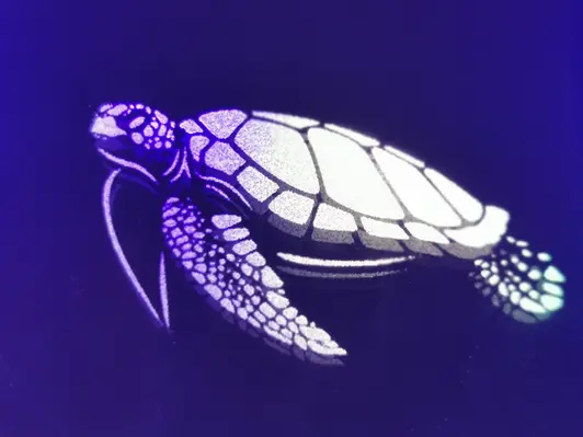 Gravure-tortue-miroir-laser-animaux-organique 