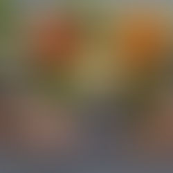 Potassium Abnormalities Patient Handout