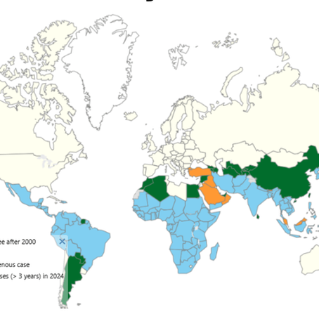 World Malaria Map - Countries with indigenous cases in 2000 and their status by 2024