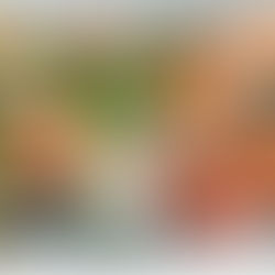 The Microbiome: Fueling a Healthy Gut