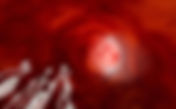 Why Are Testicles Outside the Body and What Makes Sperm Swim?