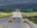 other 2.jpg