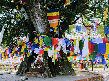 Lumbini.JPG