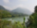 Chitwan2.jpg