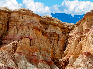 截圖 2024-09-01 晚上10.12.29.png