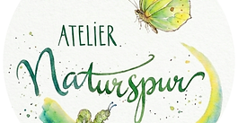 Waldzeit für Erwachsene