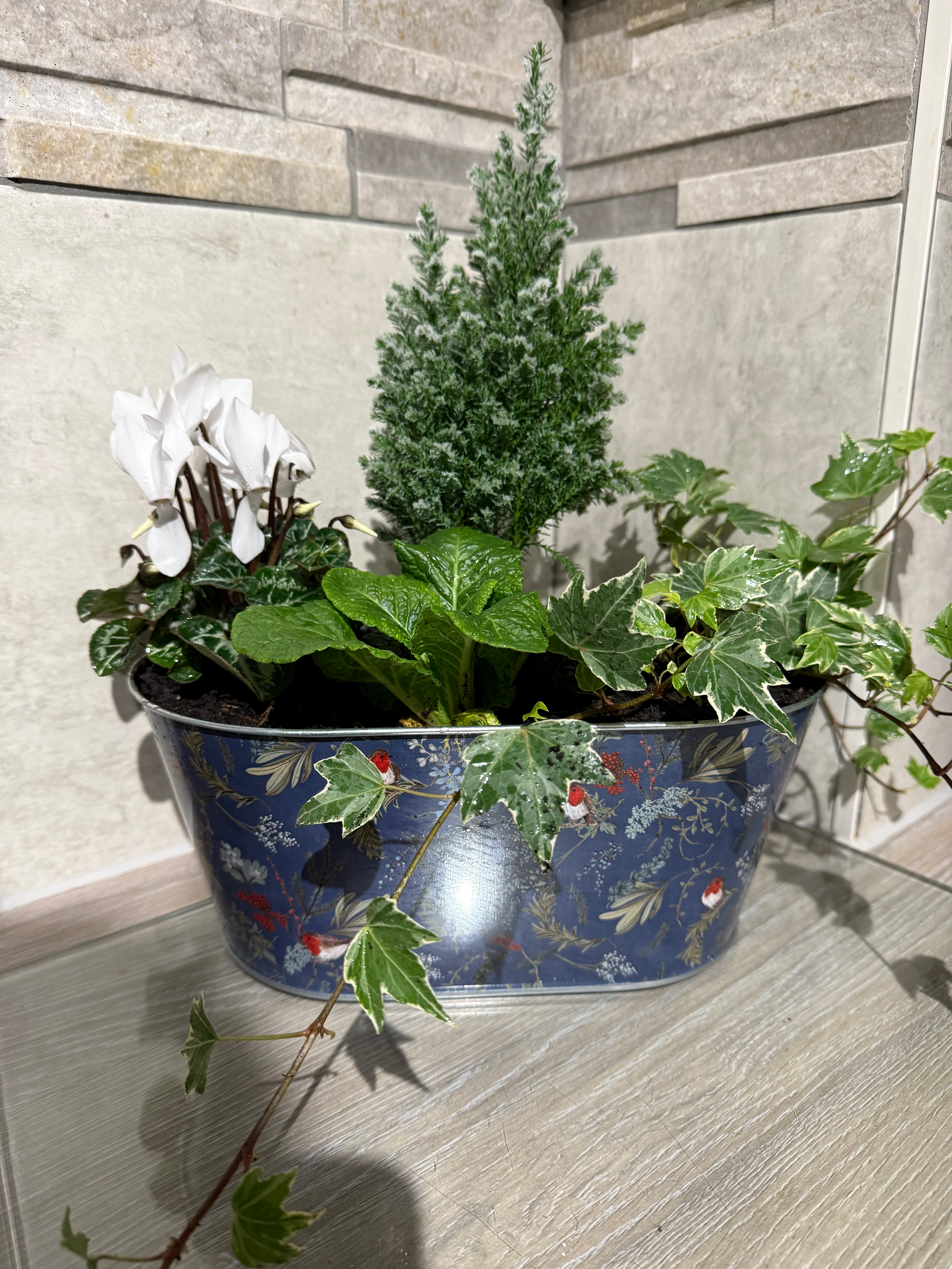 Christmas Robin Planter