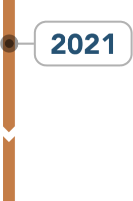 timeline 2021