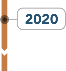 timeline 2020