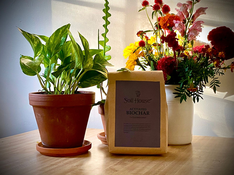 Thumbnail: 2lb bag of activated biochar on a table in between a potted plant and a vase of flowers