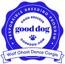 wolf-ghost-dance-corgis-arizona-badge.png