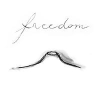 CRATere_freedom log.jpg