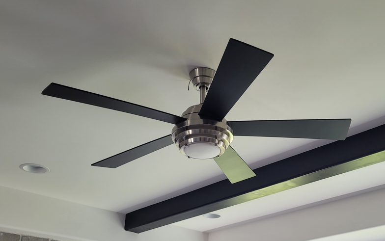 fan
