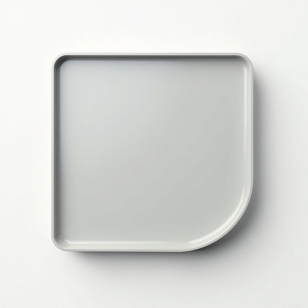 Ergonomic Walker Tray