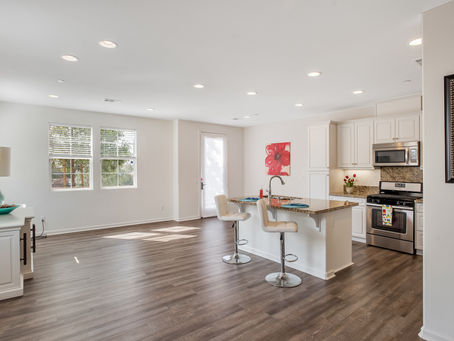Open Concept Ontario Shoot