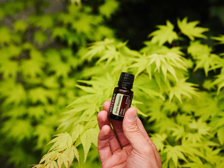 Huile essentielle Green Mandarin