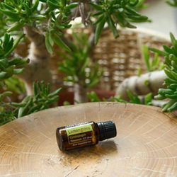 Huile essentielle Lemongrass