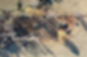 IMG_5527.PNG