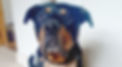 20230606_065335-(002)_edited.jpg