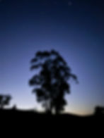 IMG_4990.jpeg