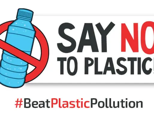 #BeatPlasticPollution: Embracing Sustainability on World Environment Day 2023