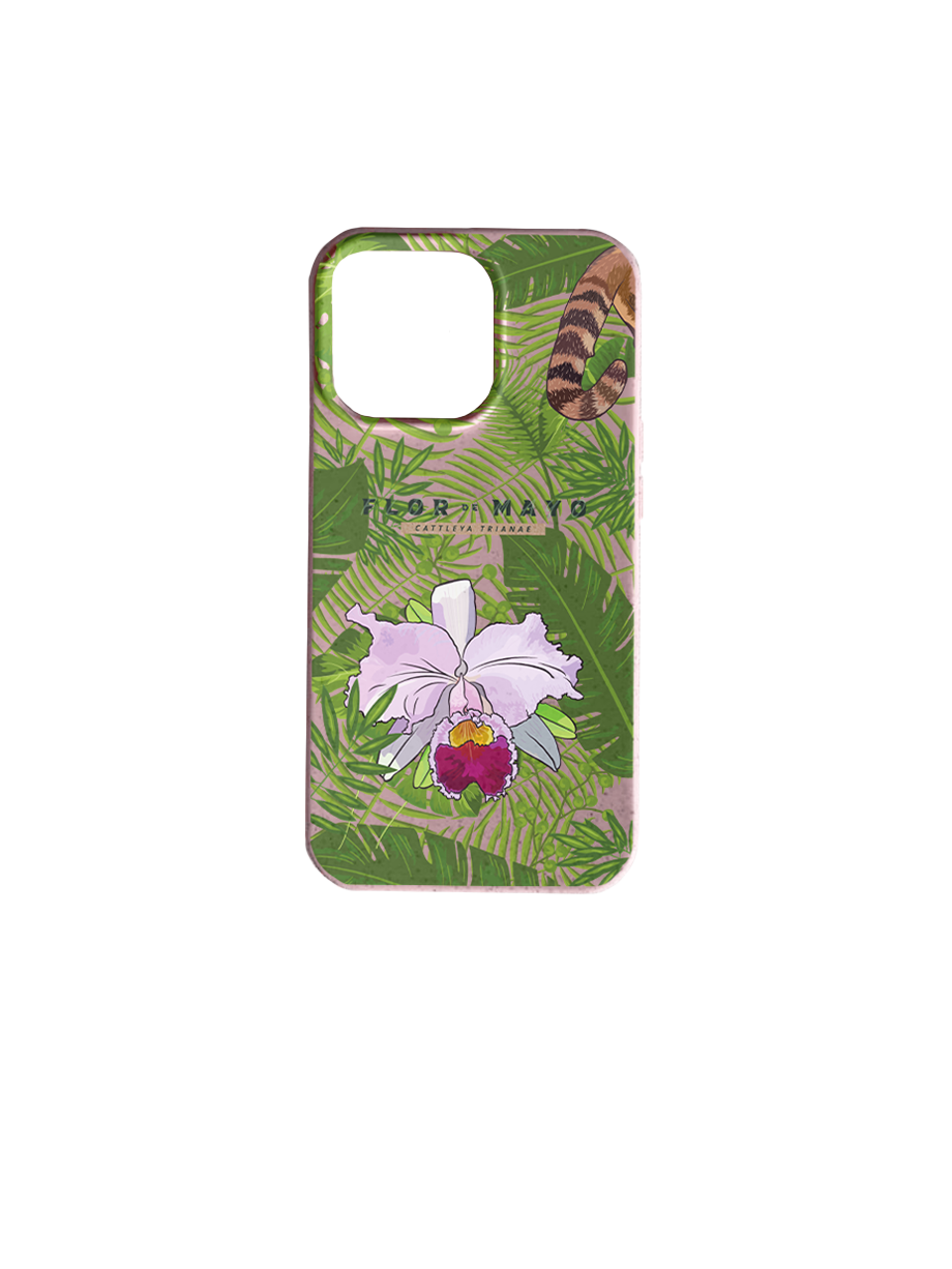 Miniatura: Encanto de Flor De Mayo