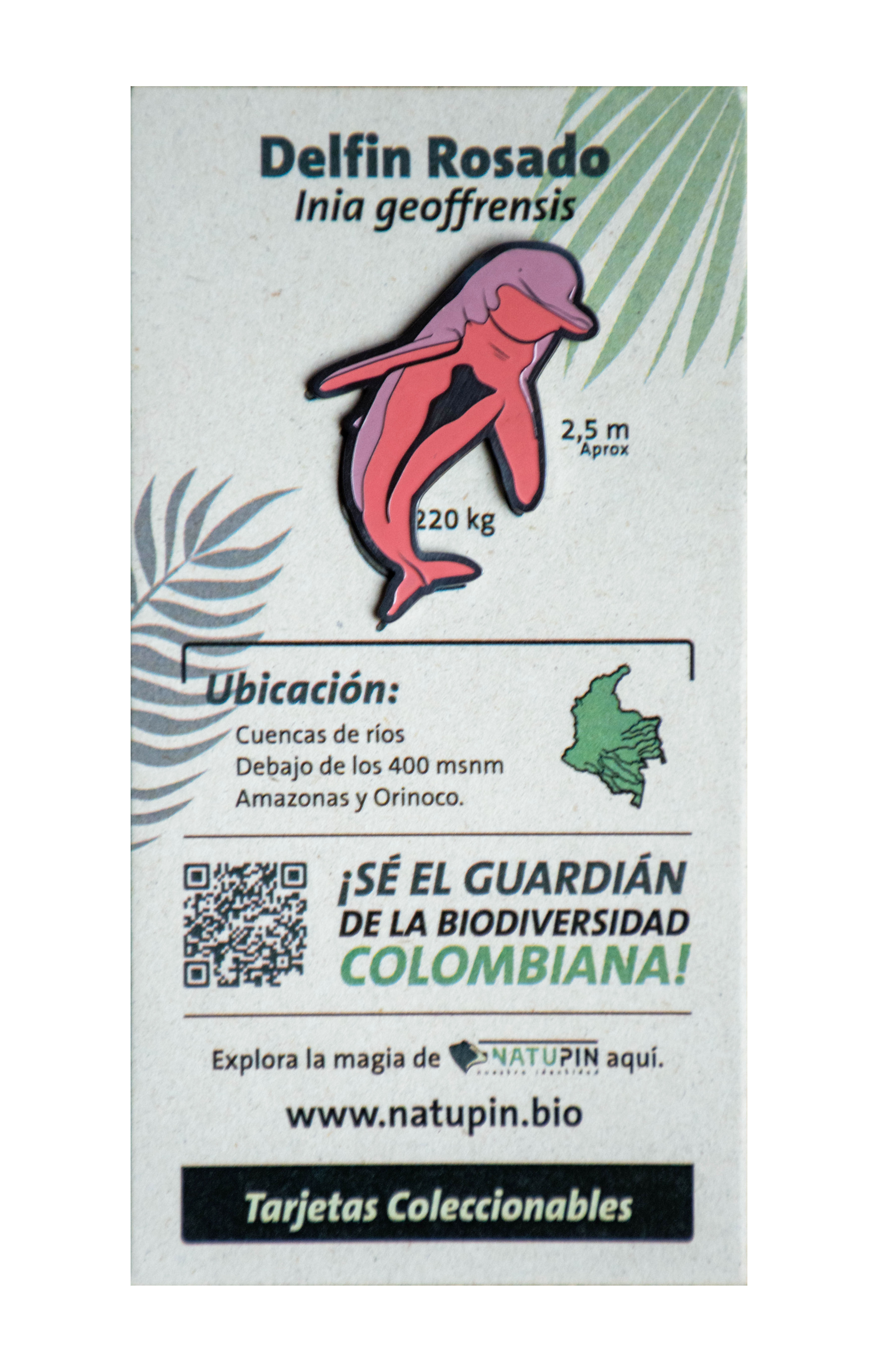 Pin delfín rosado