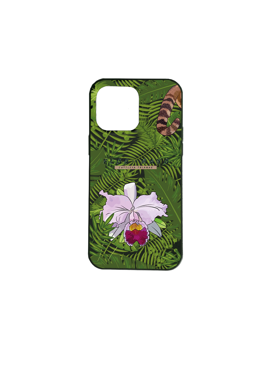 Miniatura: Encanto de Flor De Mayo