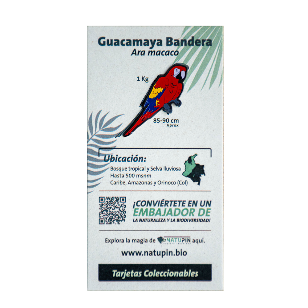 Pin guacamaya