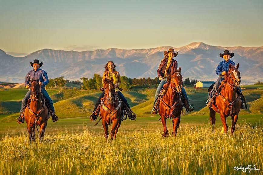 mlarowe-fam-running-horses.jpeg