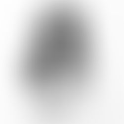 Olivia Rodrigo: The Next Big Thing