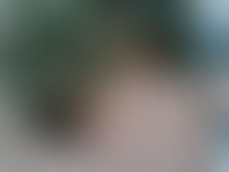 ¿Por qué amamos viajar en camper?