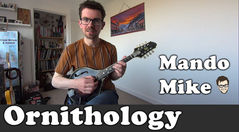 Ornithology - The Chords (Advanced)
