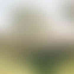 Designing the perfect backdrop for your love story