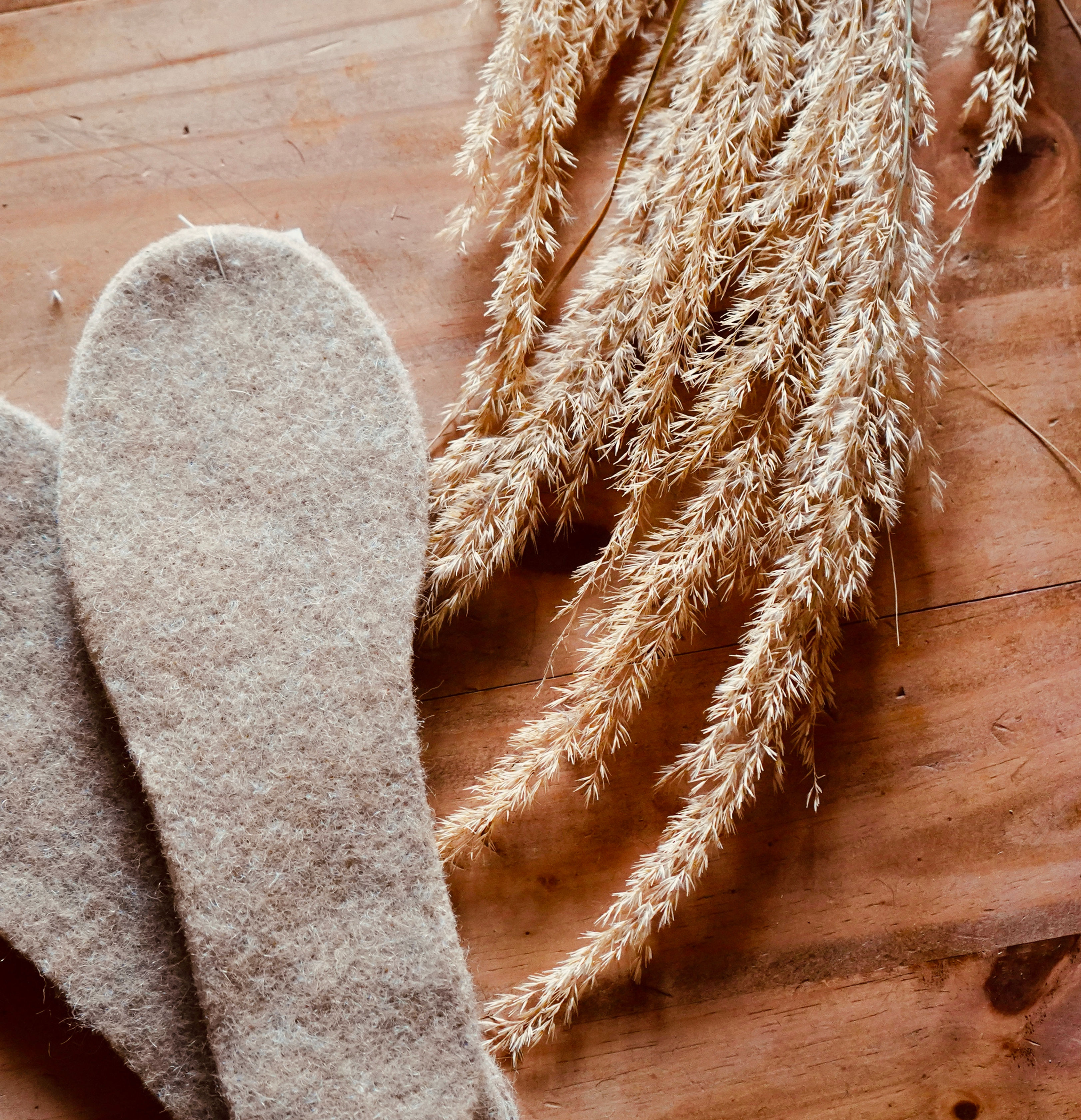 Alpaka Schuheinlagen aus dem Haspelwald